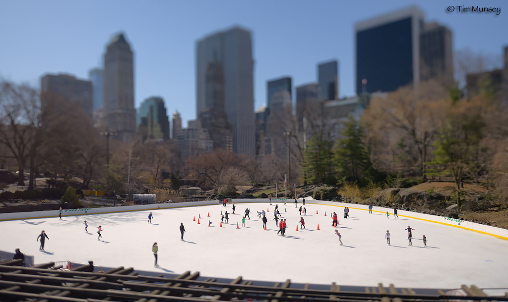 Skate Ring